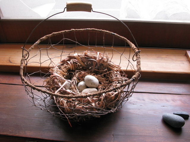 Img_c06845bdeea4ff6202eb0ff8218053ce