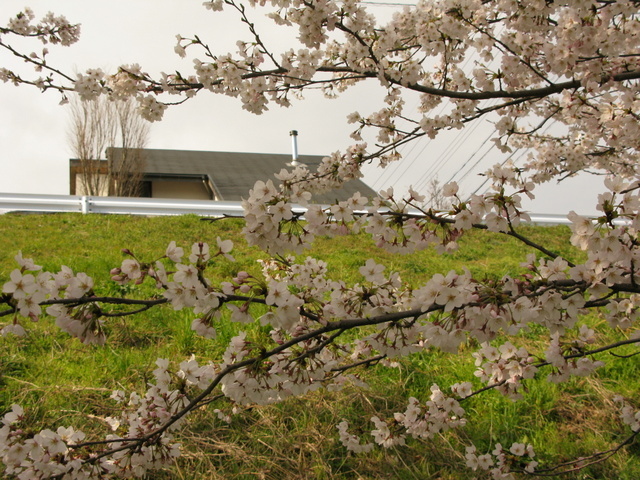 Img_3f8d58e9fa28930e855b26a63d90c451