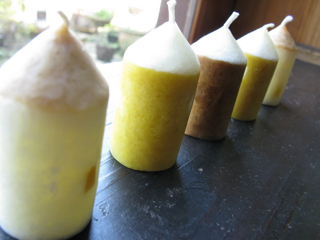 Img_7b25739000d51b4ae049e2eeb0f500b8