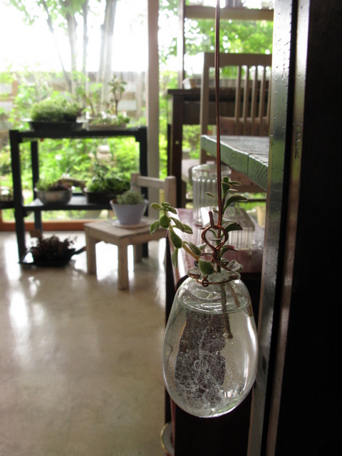 Img_87a119460ffa0617acea4d3e41c44f2f