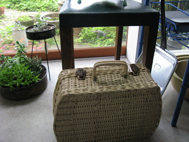 Img_9981cb5e32412db7308032d7f8593f3a