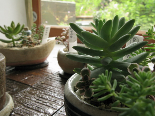 Img_a470f39a2375a166a91a86cd8334c36a