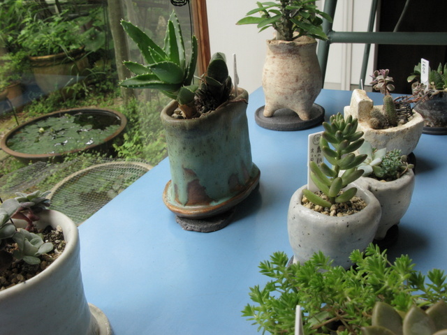 Img_c9defba77e4387570ef7e1c6f1e6635f