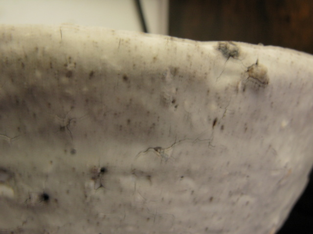 Img_d13c3f616be51a4800115a4078603504