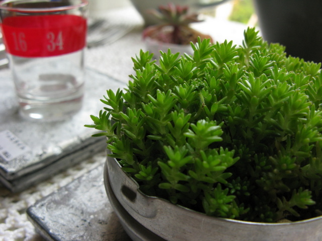 Img_d6f0813ef71b133594d2de0f61644af0